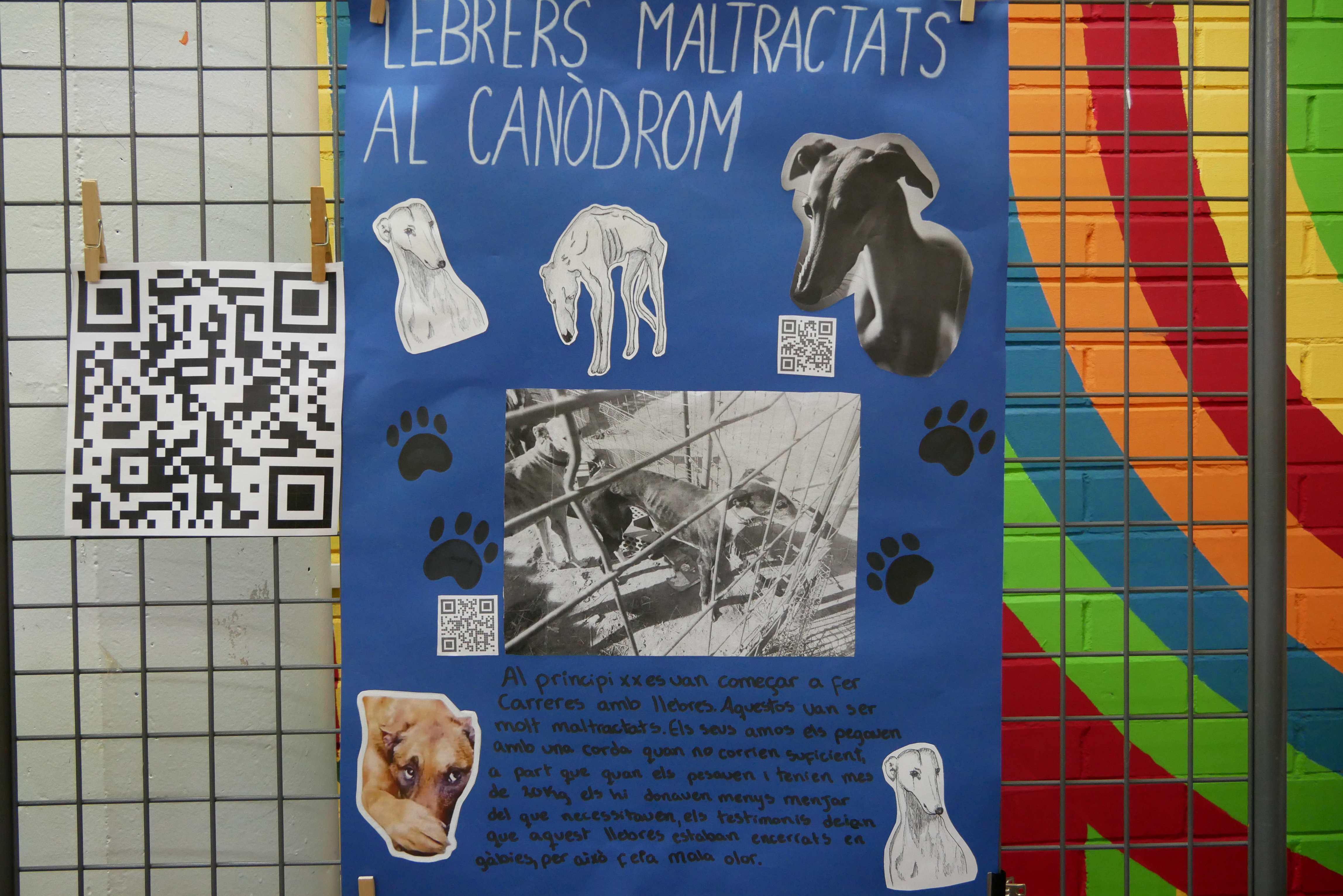 Imatge pels mitjans: Llebrers Maltractats al Canòdrom